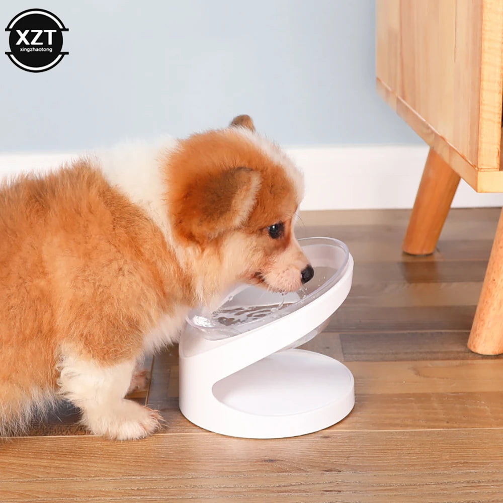 45°Puppy Dish Pet Food Bowl for Dog Cat